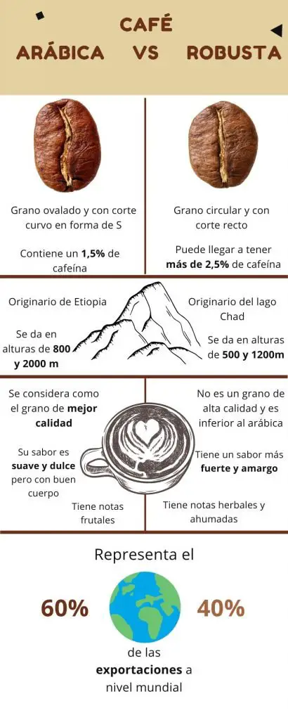 Diferencias entre café arábica y robusta