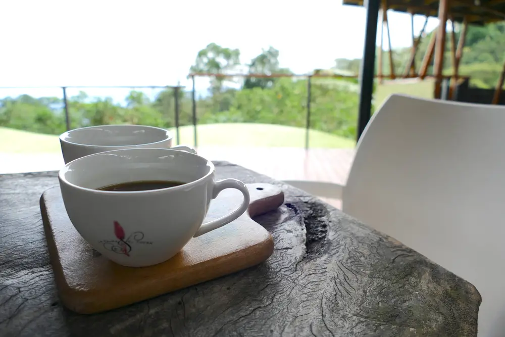 taza de café blanca
