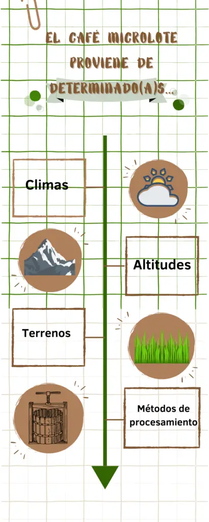 características de un café microlote