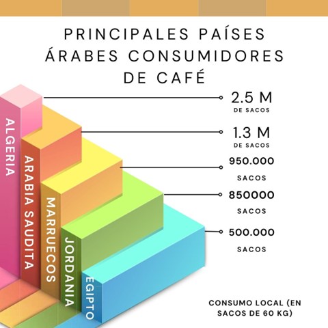 Principales países árabes consumidores de café