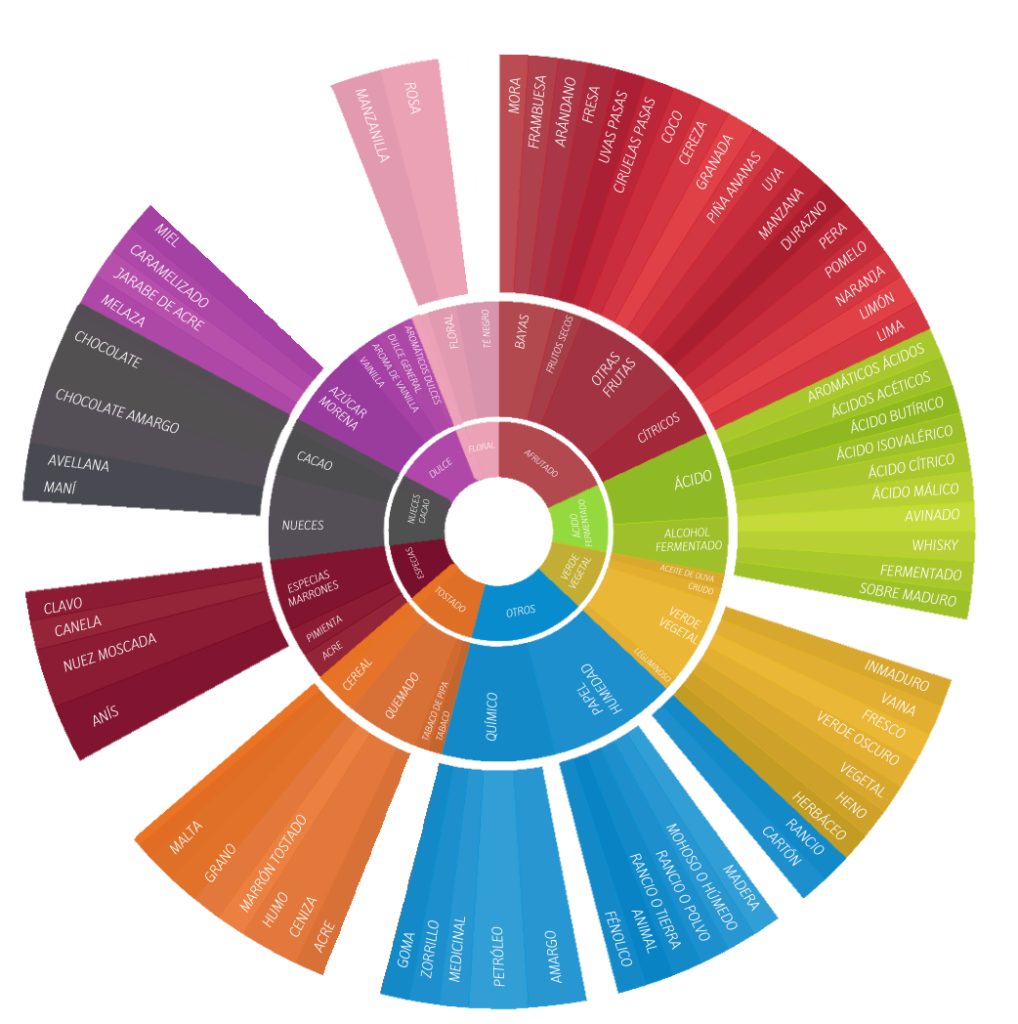 Mapa sensorial del café